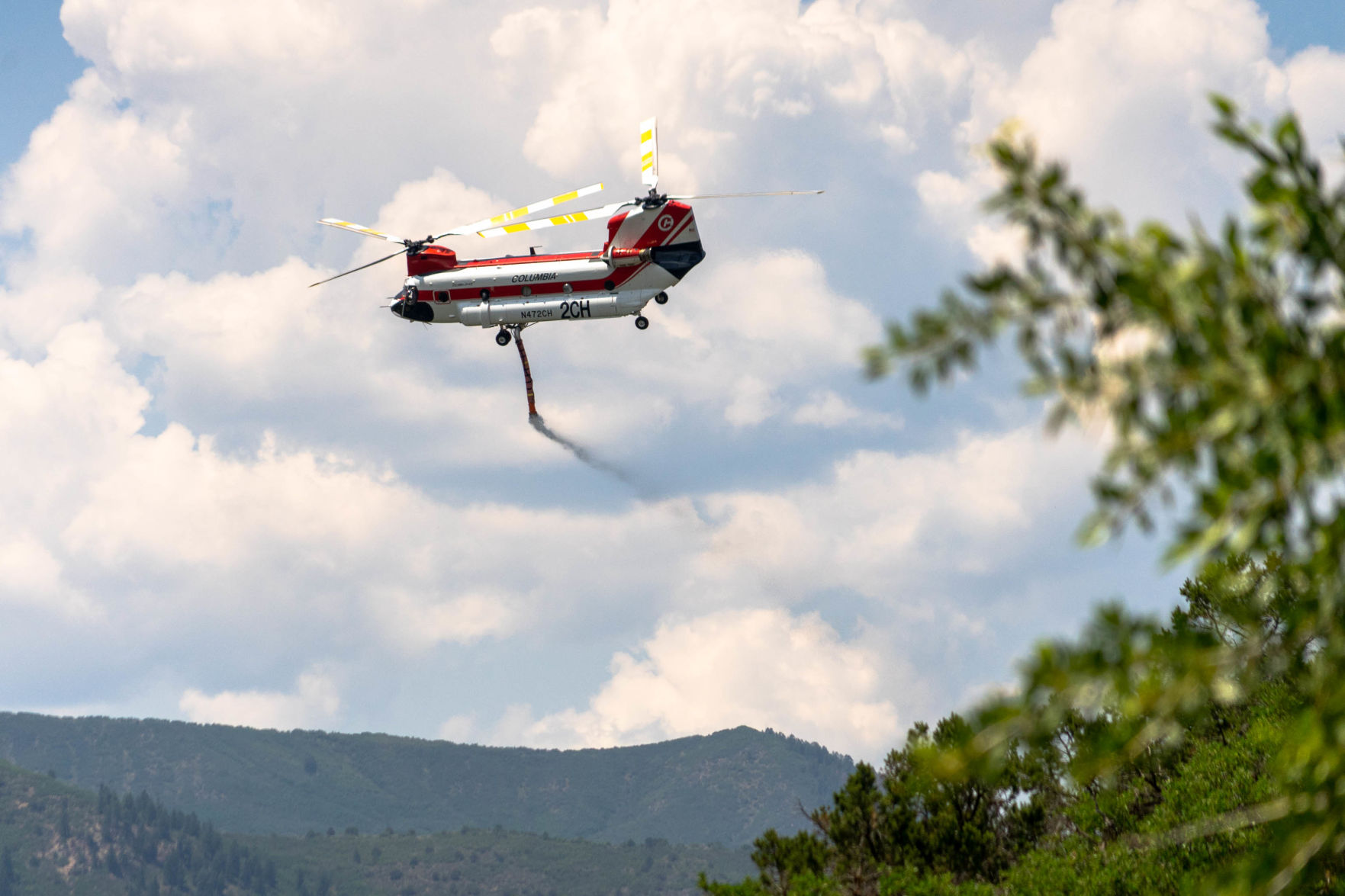Chinook over Basalt